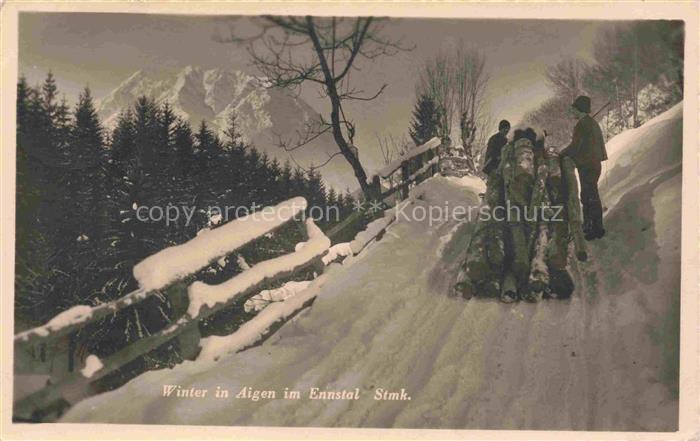 Aigen Ennstal Steiermark AT Holzfloesser im Winter