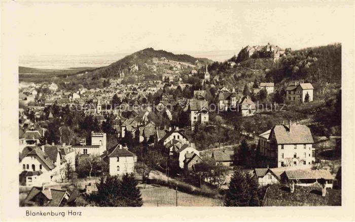 Blankenburg Harz Stadtpanorama