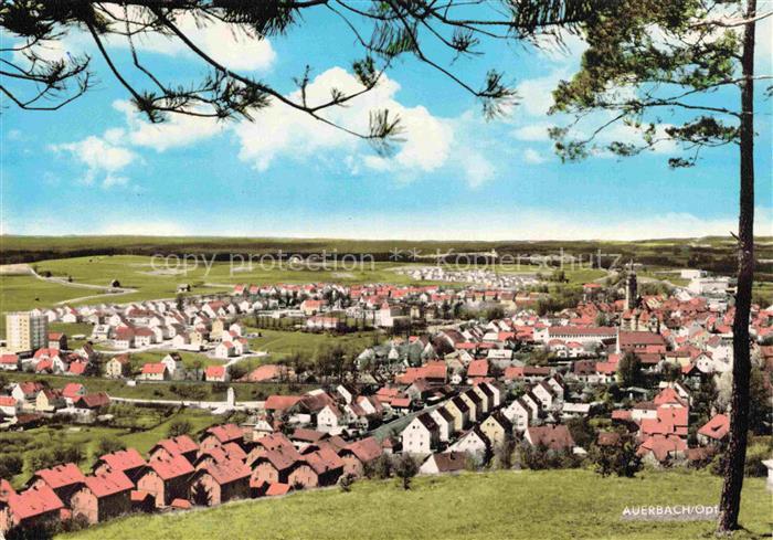 Auerbach Oberpfalz Amberg-Sulzbach Bayern Panorama