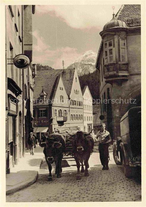 Fuessen am Lech Allgaeu Bayern Motiv im Ortszentrum Ochsenkarren