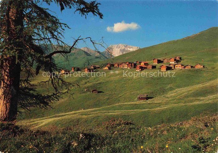 Medergen Arosa GR Panorama Blick gegen Weissfluh