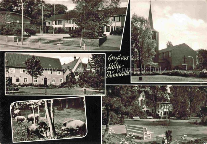 Duennwald KoeLN NRW Teilansichten Kirche Parkanlagen Wildschweine