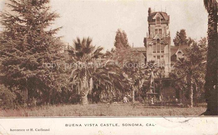 Sonoma California USA Buena Vista Castle