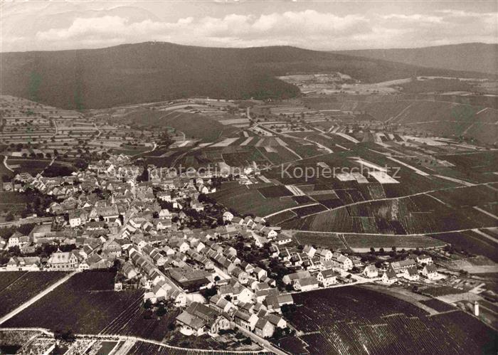 Hallgarten Rheingau Oestrich-Winkel Hessen Fliegeraufnahme
