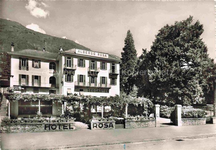 Muralto Locarno Lago Maggiore TI Albergo Rosa Restaurant Seegarten