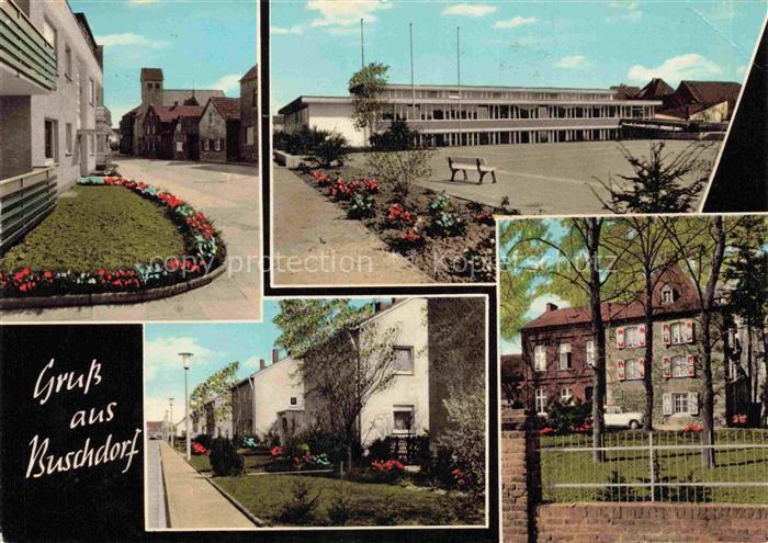 Buschdorf BONN NRW Teilansichten Schule