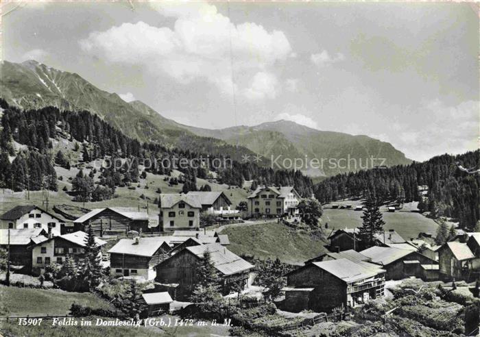 Feldis Veulden Hinterrhein GR Panorama Domleschg