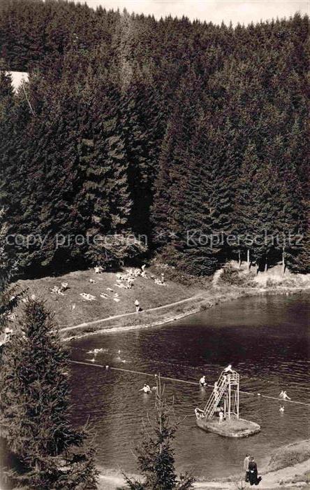 Wald Brilon Strandbad
