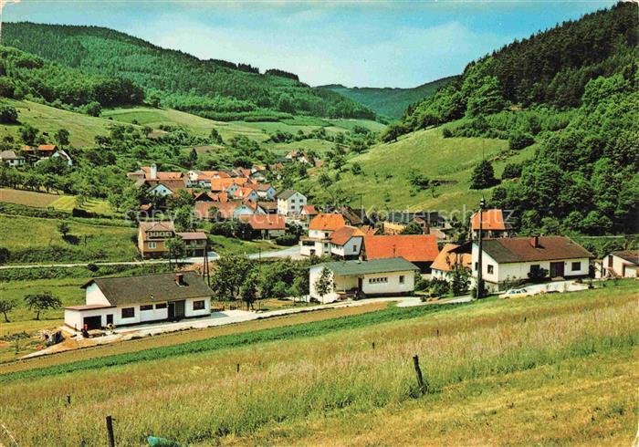 Schoellenbach Hesseneck Odenwaldkreis Hessen Panorama