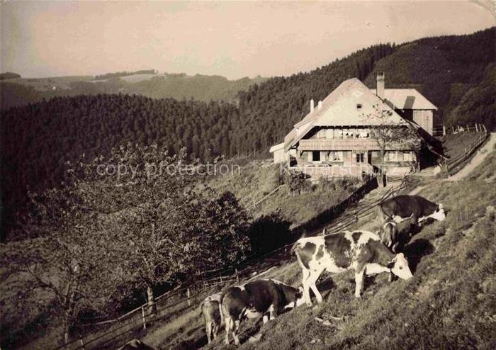 Falkensteig Buchenbach Hochschwarzwald BW Wirtschaft zur Haefner Huette