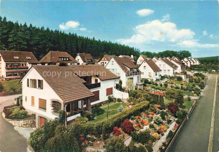 Neuhaus Solling Holzminden Weser Niedersachsen Pensionen am Maedchenberg