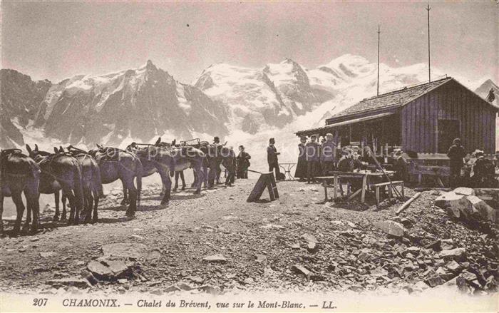 CHAMONIX BONNEVILLE 74 Haute-Savoie Chalet du Brevent vue sur le Mont Blanc