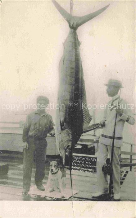 Catalina Island California USA Praemierte Fischer mit Schwertfisch
