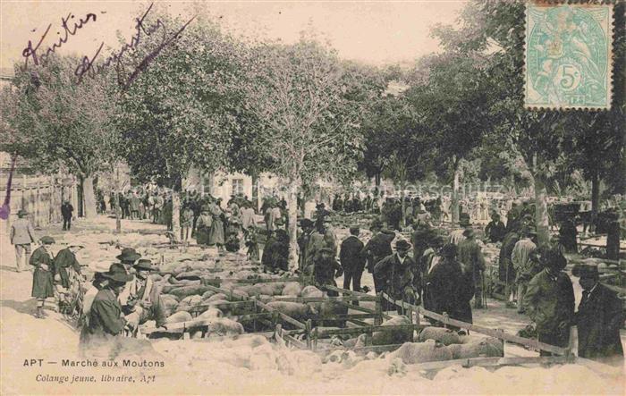 Apt 84 Vaucluse Marche aux Moutons