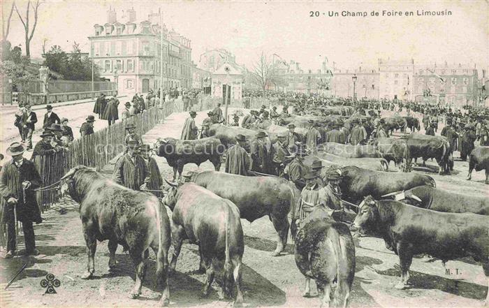 LIMOGES 87 Haute-Vienne Un Champ de Foire en Limousin