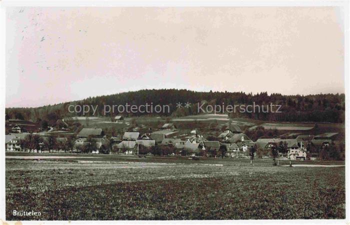 Bruettelen Erlach BE Panorama