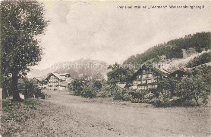 Weissenburg Simmental BE Pension Mueller Sternen Weissenburgbergli