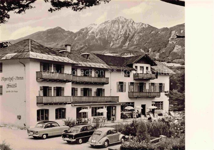 Nonn Bad Reichenhall Oberbayern Alpenhof Graue Katz