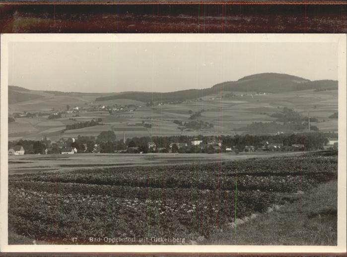 Bad Oppelsdorf Opolno Zdroj Gickelsberg