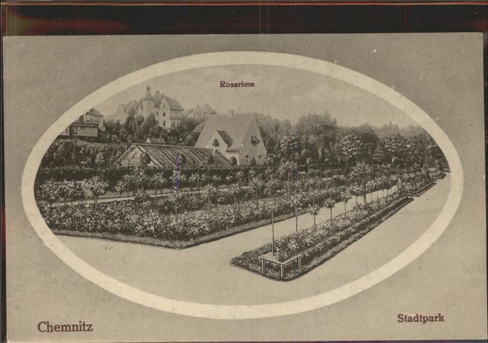 CHEMNITZ Sachsen Stadtpark Rosarium