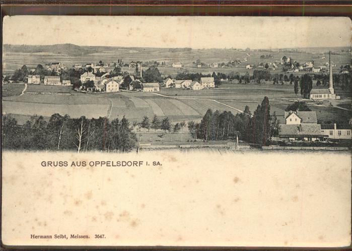 Bad Oppelsdorf Opolno Zdroj