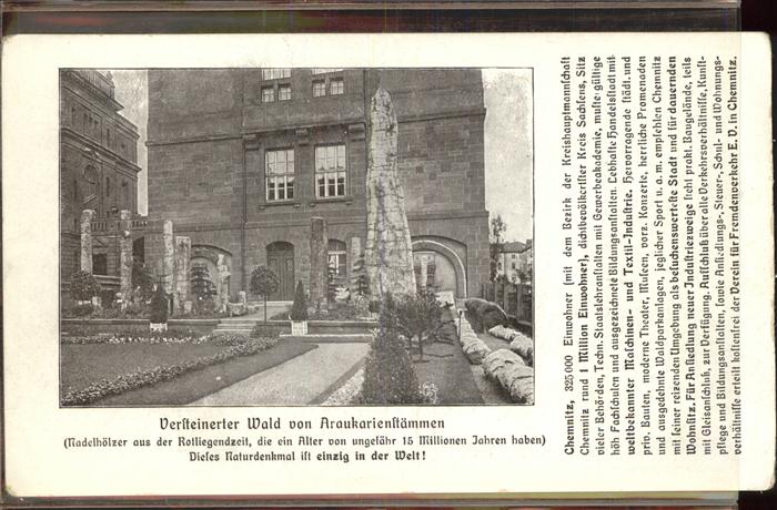 CHEMNITZ Sachsen Versteinerter Wald Araukarienstaemmen