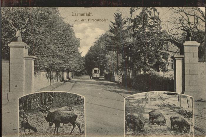 Strassenbahn Darmstadt An den Hirschköpfen Wildschwe