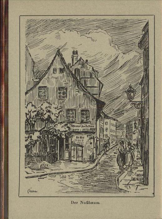 BERLIN  CITY Der Nussbaum Kuenstlerkarte