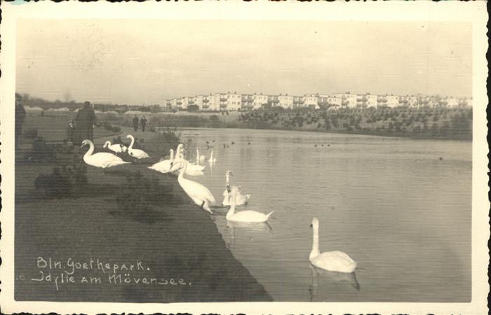 BERLIN  CITY Goethepark Schwaene Moevensee