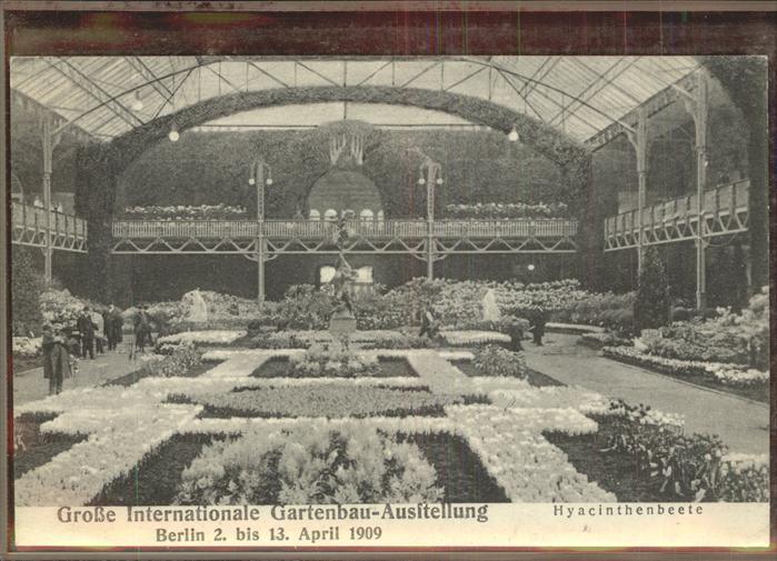 Berlin Intern. Gartenbau-Ausstellung Hyacinthe