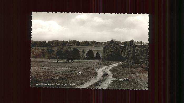 Amelinghausen Lueneburger Heide Heide