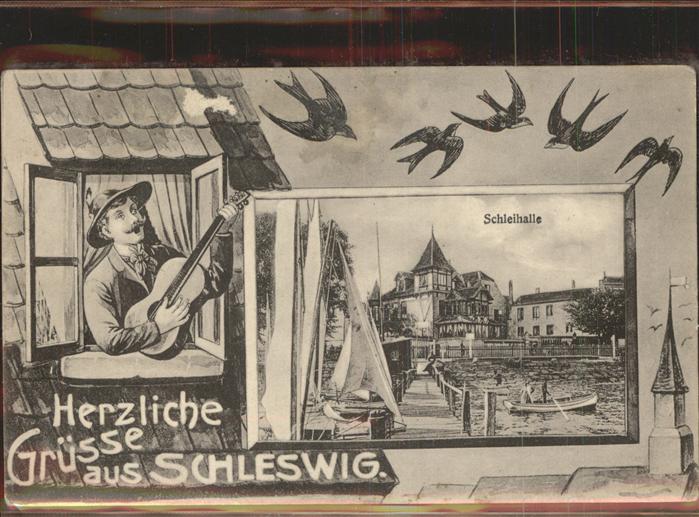 Schleswig Holstein Schleihalle Schwalben Mann mit Gitarre
