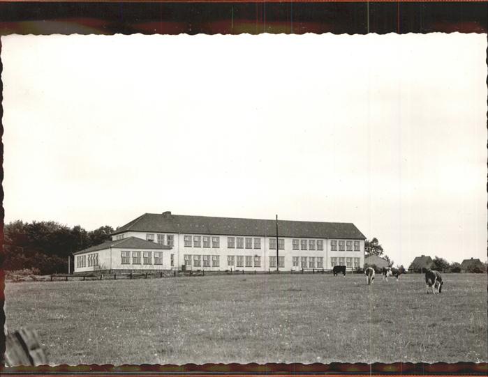 Hohenwestedt Schule Kuehe