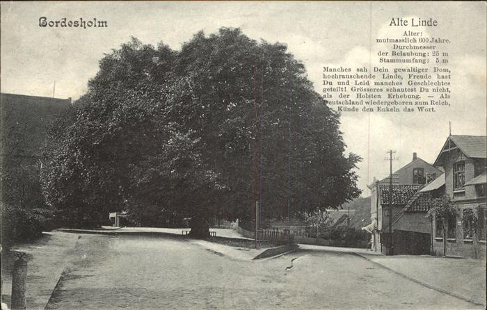 Bordesholm Alte Linde