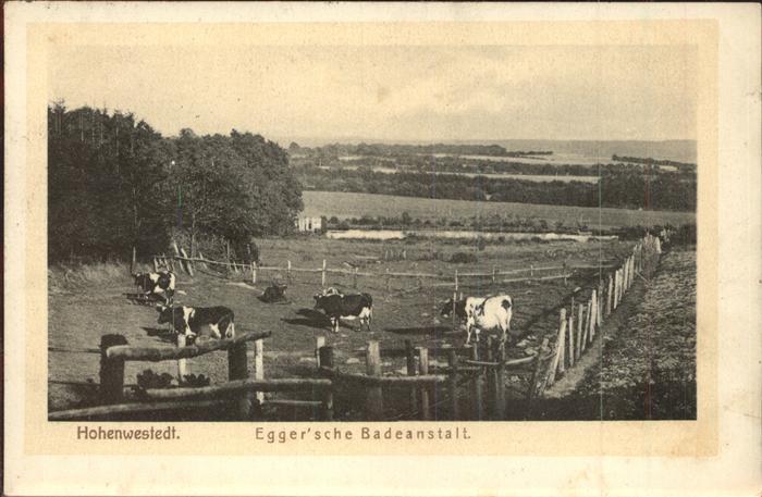 Hohenwestedt Eggersche Badeanstalt Kühe