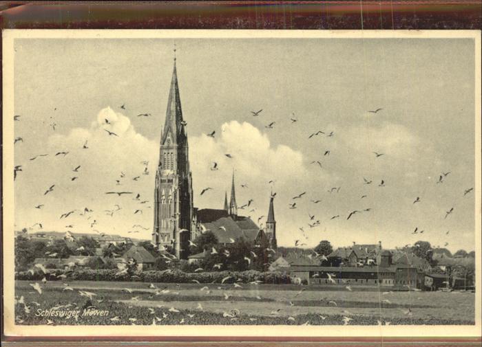 Schleswig Holstein Dom Möven