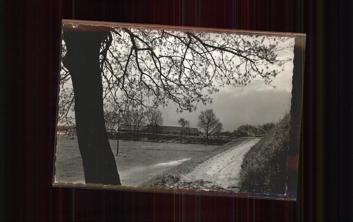 Wildeshausen Neue Schule