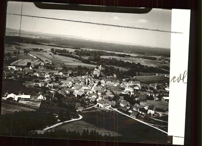 Falkenburg Pfalz Fliegeraufnahme