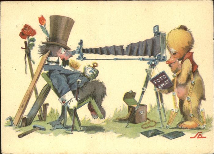 Fotografie Humor Ente Maulwurf