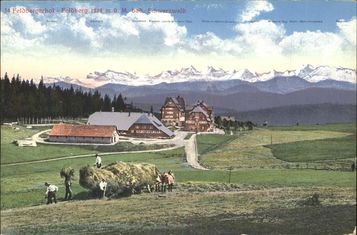 Feldberg Schwarzwald Feldberger Hof Heuernte