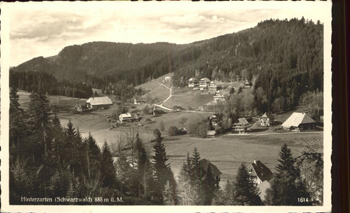 Hinterzarten Breisgau-Hochschwarzwald BW Panorama