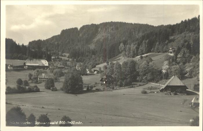 Hinterzarten Breisgau-Hochschwarzwald BW Panorama
