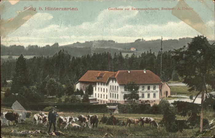 Hinterzarten Breisgau-Hochschwarzwald BW Gasthaus Ravennaschlucht Vierherde