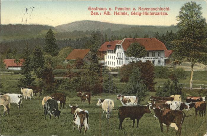 Steig Hinterzarten Gasthaus Pension zur Ravennaschlucht Vi