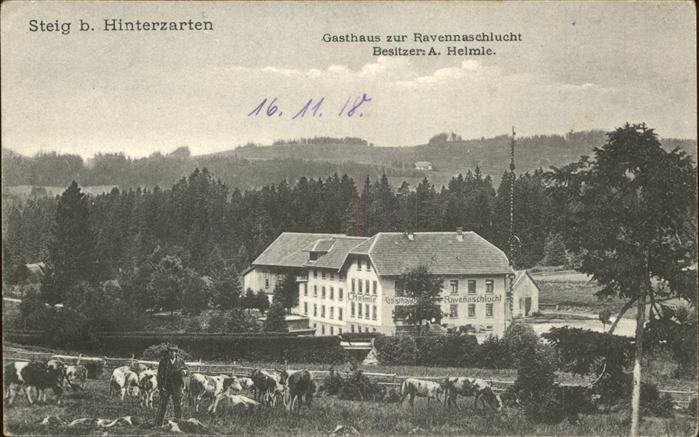 Steig Hinterzarten Gasthaus Pension zur Ravennaschlucht Vi