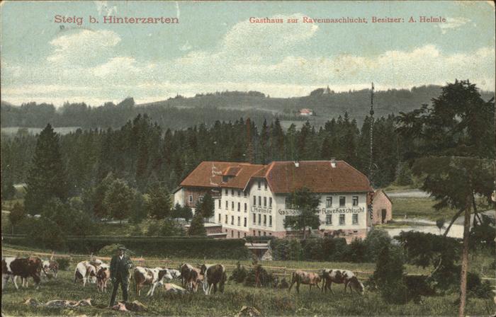 Steig Hinterzarten Gasthaus Pension zur Ravennaschlucht Vi
