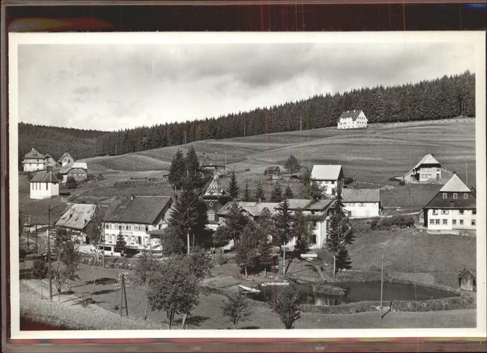 Eisenbach Schwarzwald Panorama