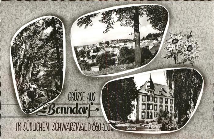 Bonndorf Schwarzwald Wutachschlucht Schloss Gesamtansicht