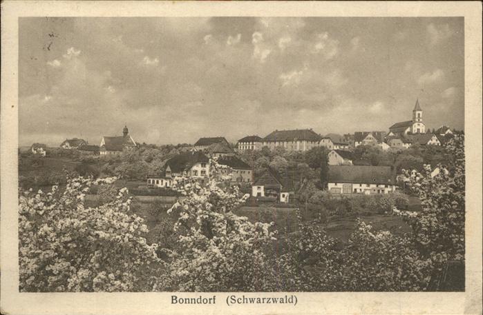 Bonndorf Schwarzwald Panorama