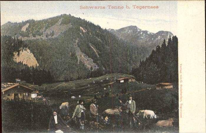 Tegernsee Bayern Schwarze Tanne Kuhhirten